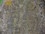image of grave number 907458